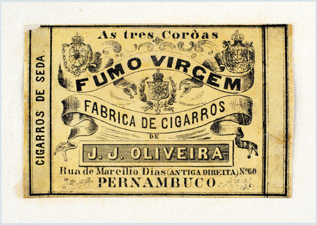 vizualizar o documento on line